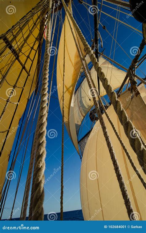 Mastro Expert 7.2 Download